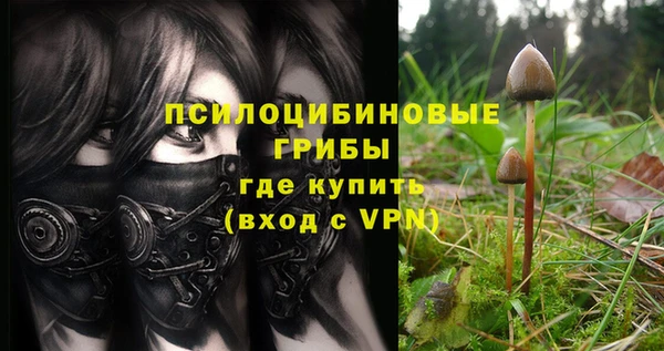 дурь Кодинск